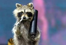 Zbraně jako spektákl: lobby majitelů zbraní v USA ukazuje svůj vliv