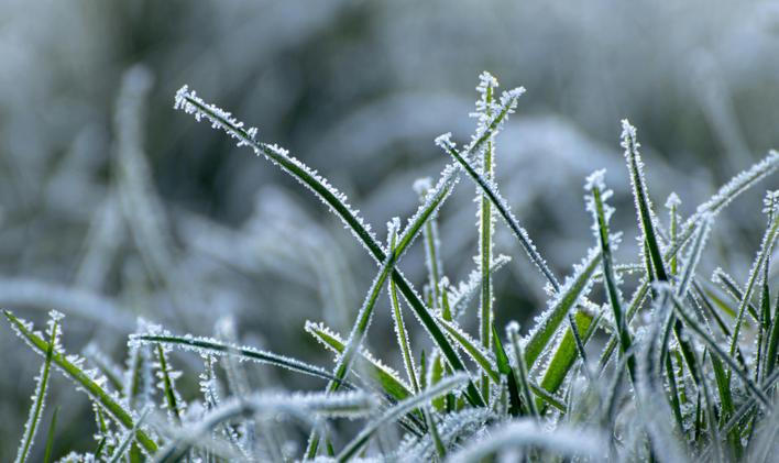 Na jihu Čech mrzlo téměř na celém území kraje.