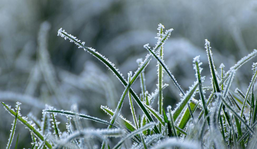 Na jihu Čech mrzlo téměř na celém území kraje.