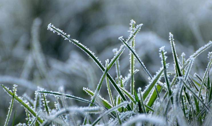Na jihu Čech mrzlo téměř na celém území kraje.