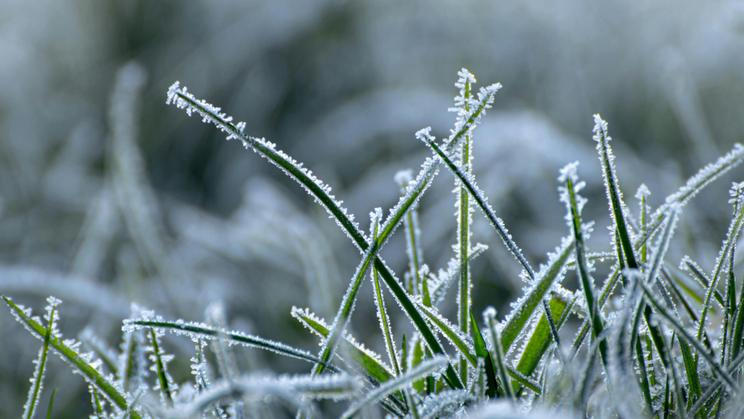 Na jihu Čech mrzlo téměř na celém území kraje.