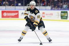 AHL: APR 04 Providence Bruins at Rochester Americans