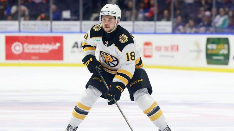 AHL: APR 04 Providence Bruins at Rochester Americans