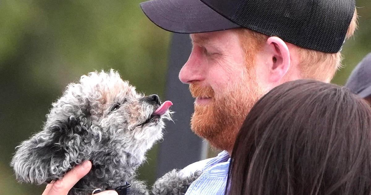 Škoda tyhle fotky minout: papež z plastu, selfie z Marsu nebo rukavice krále popu