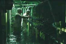 Jednorázové použítí / Fotogalerie / Skuteční hrdinové Černobylu / HBO