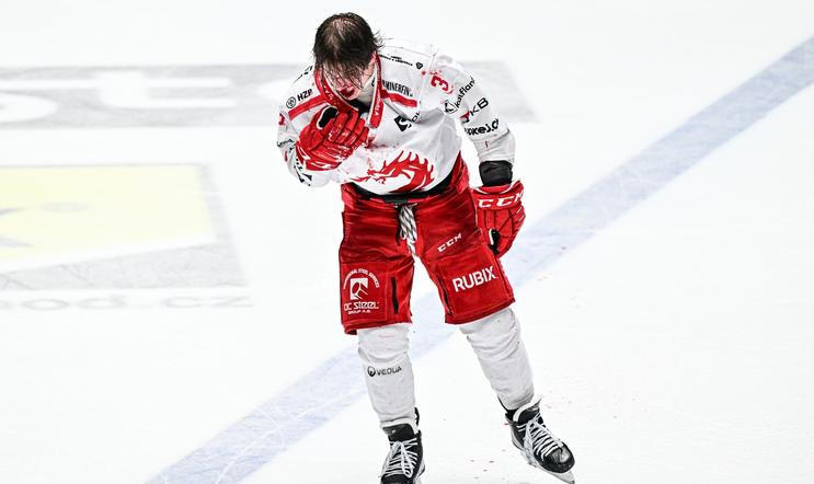 Petr Sikora, hokejista, sportovec, zranění, krev, potyčka, bitka