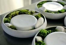  Vysoký Újezd, Restaurant Papilio, šéfkuchař, Jan Knedla, Dvě Michelinské hvězdy, Michelinská restaurace, jídlo