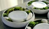  Vysoký Újezd, Restaurant Papilio, šéfkuchař, Jan Knedla, Dvě Michelinské hvězdy, Michelinská restaurace, jídlo