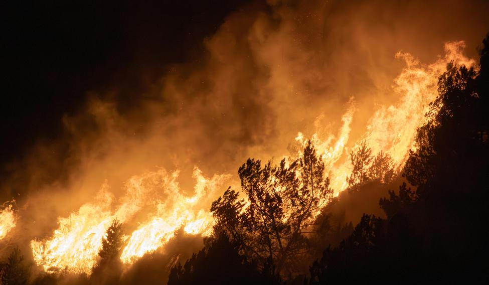 Plameny dosud spálily asi 730 hektarů, kvůli čemuž se muselo evakuovat 3233 lidí, tedy asi třetina obyvatel Ocuči.