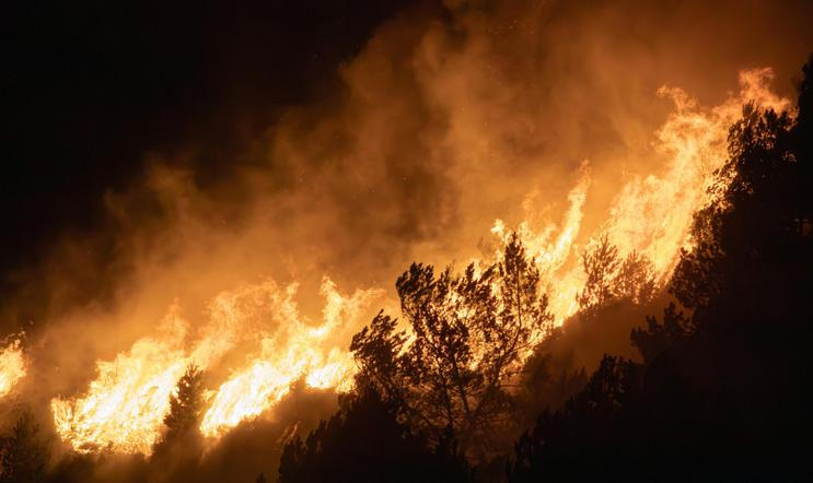 Plameny dosud spálily asi 730 hektarů, kvůli čemuž se muselo evakuovat 3233 lidí, tedy asi třetina obyvatel Ocuči.