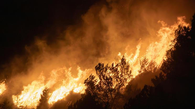 Plameny dosud spálily asi 730 hektarů, kvůli čemuž se muselo evakuovat 3233 lidí, tedy asi třetina obyvatel Ocuči.