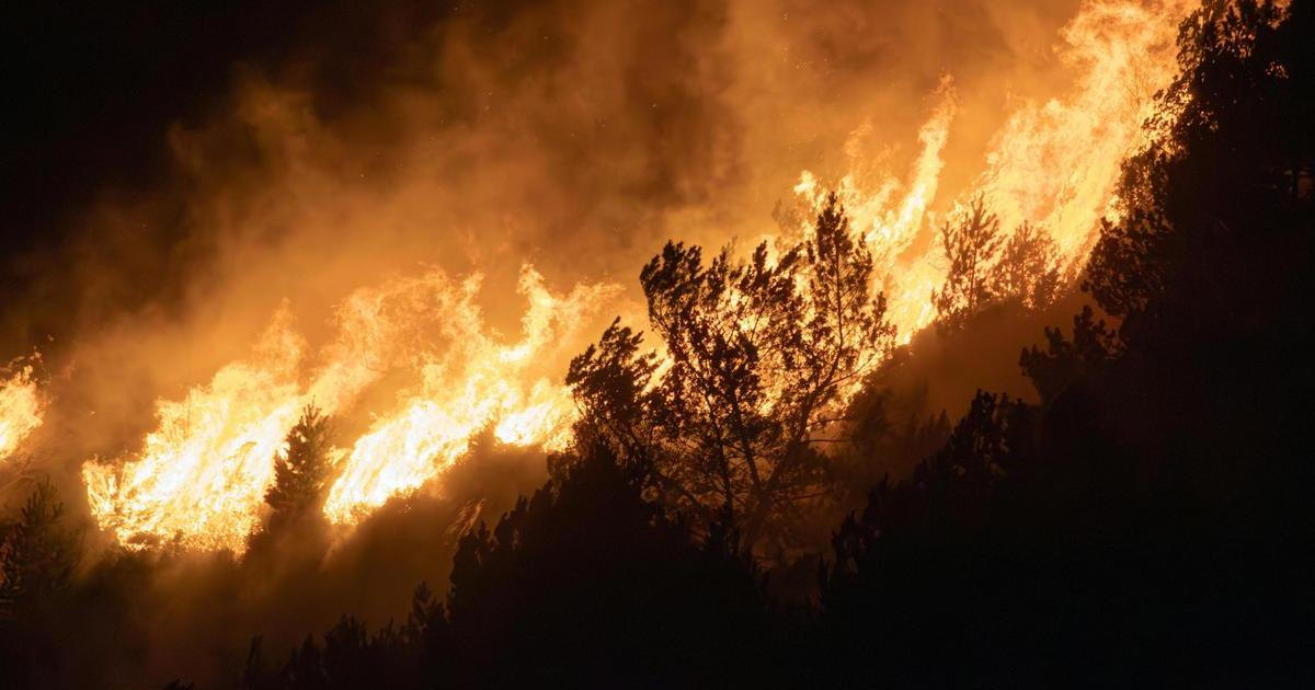 Hasiči na severu Japonska bojují s lesními požáry, evakuovaly se tisíce lidí