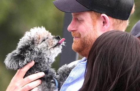 Duke and Duchess of Sussex visit to Australia - Day Four