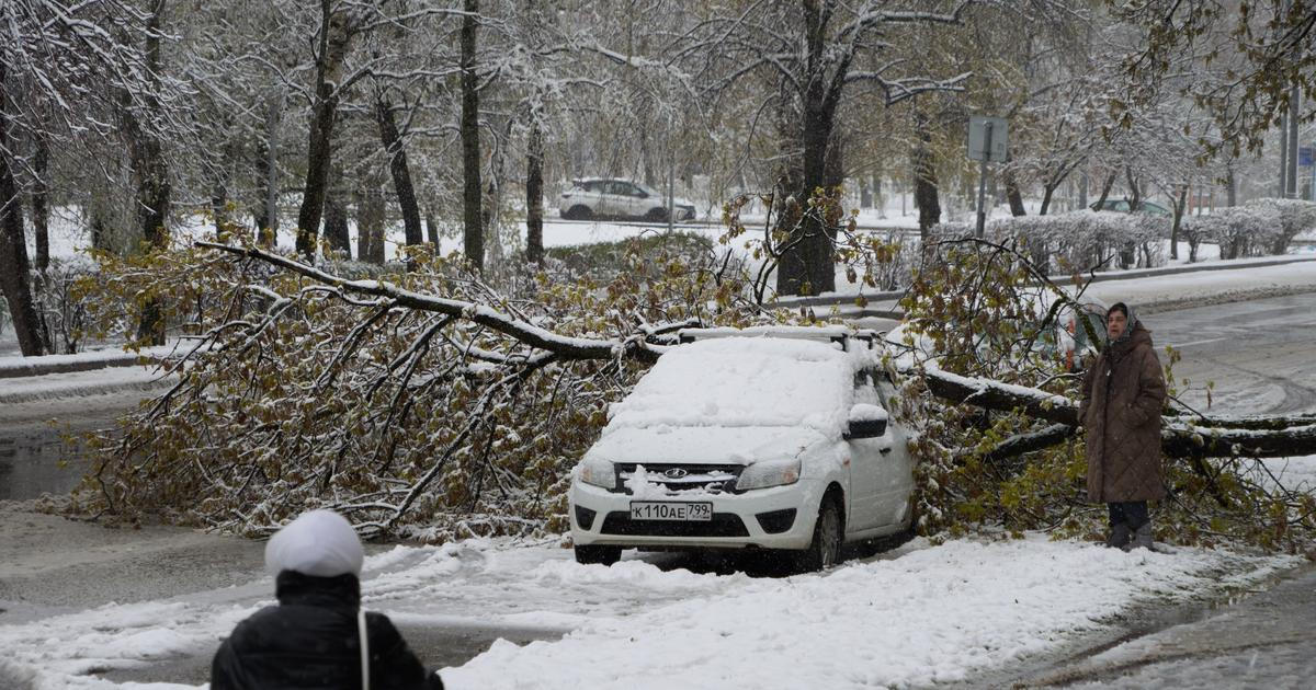 Vyvracené stromy, zničená auta. Moskvu zasáhla sněhová bouře, jakou nezažila od carských dob