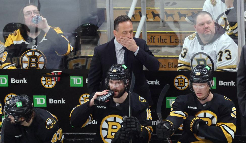 Sabres Bruins Hockey