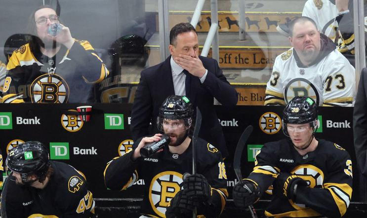 Sabres Bruins Hockey