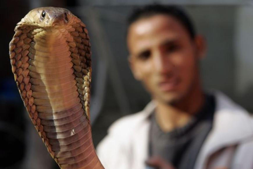 Německý turista zemřel po uštknutí hadem zaříkávače v egyptském hotelu