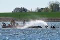 Humpback whale lies on a sandbank off the Baltic island of Poel