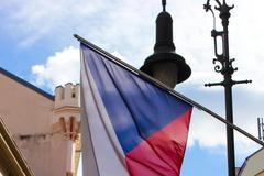 Česká vlajka