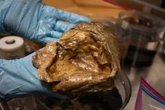 Téměř tři roky stará záhada se konečně dočkala objasnění. 