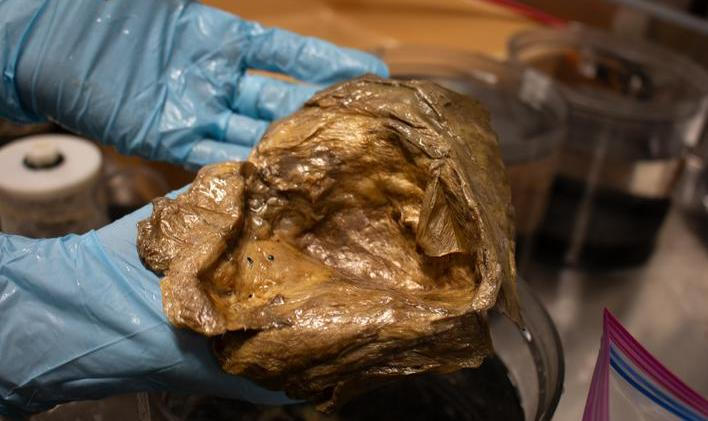 Téměř tři roky stará záhada se konečně dočkala objasnění. 