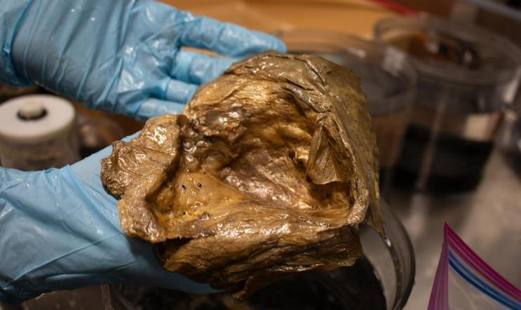 Téměř tři roky stará záhada se konečně dočkala objasnění. 