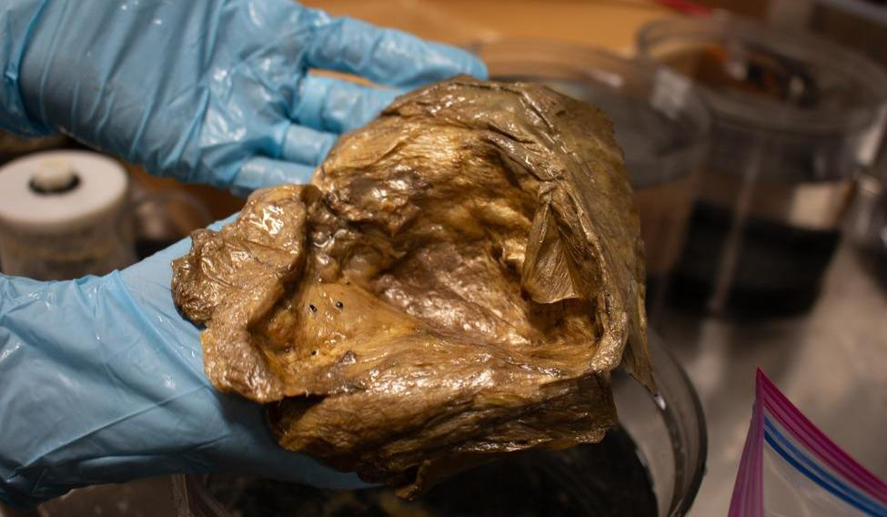 Téměř tři roky stará záhada se konečně dočkala objasnění. 