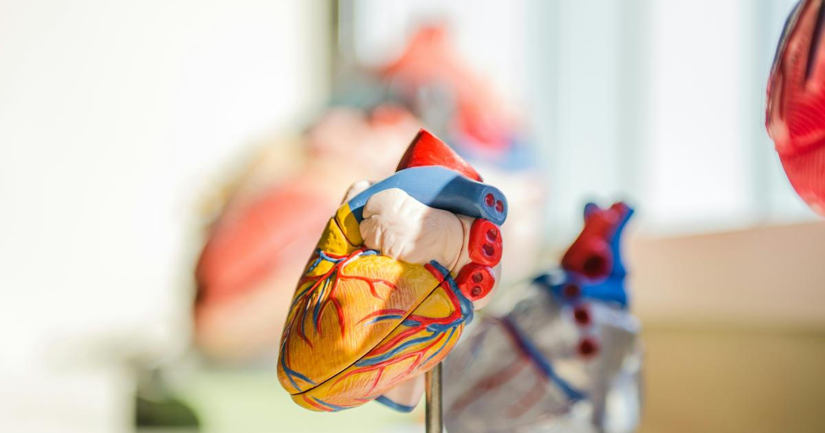 Boj o život přímo na ulici. Lékař zašil srdce pobodanému muži, zvládl to za sedm minut