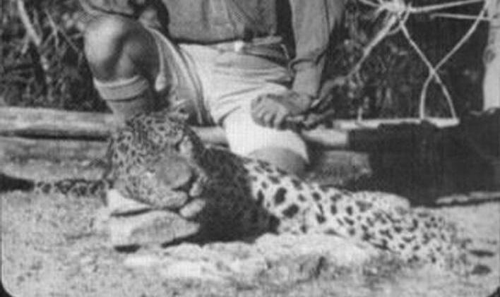 Koncem roku 1925 se do štvanice na levharta zapojil tehdy už známý a uznávaný lovec lidožravých šelem Jim Corbett. Ten nakonec po desetitýdenním pronásledování levharta 2. května 1926 zastřelil.