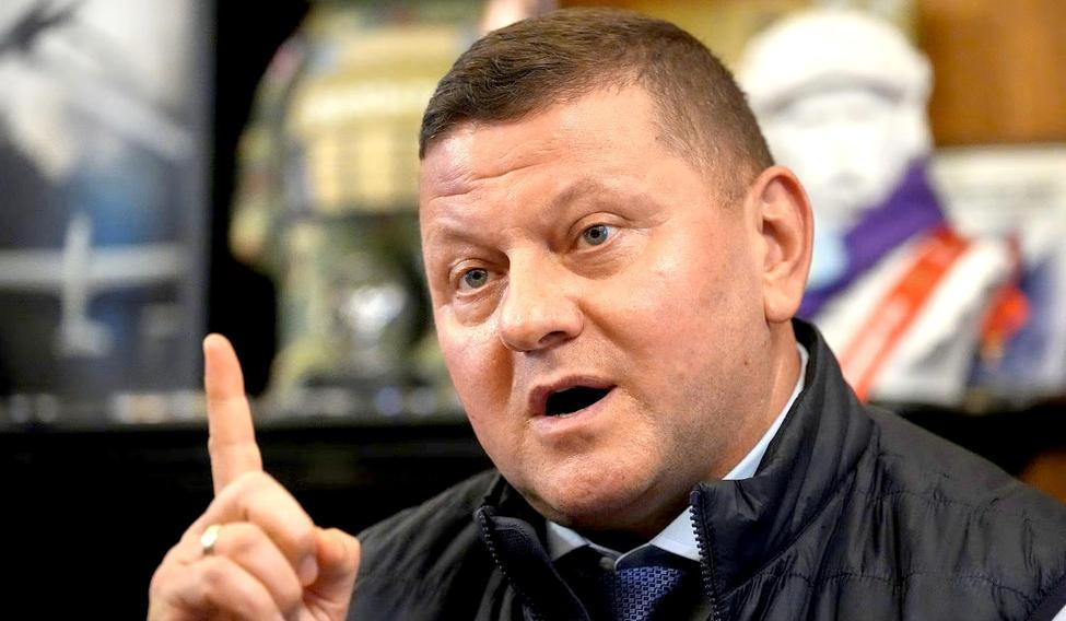 Zalužnyj byl jmenován velvyslancem ve Spojeném království na začátku roku 2024 poté, co ho prezident Volodymyr Zelenskyj odvolal z čela ukrajinské armády.