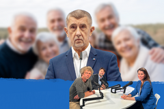 Politická šikana