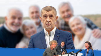 Politická šikana