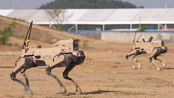 Čtyřnozí roboti označovaní jako Robot Wolf při cvičení čínské armády. Na hřbetech nesou výzbroj, vpředu komunikační anténu. Výrobcem je státní zbrojovka China South Industries Group.