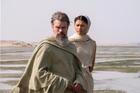 THE ODYSSEY
