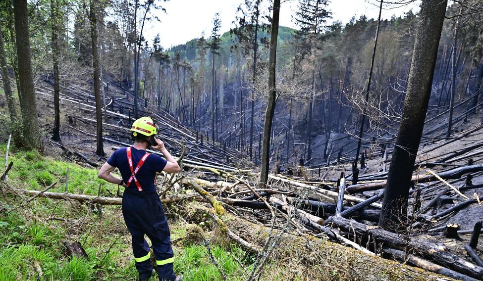 Za požárem nejspíš stojí člověk stejně jako v případě největšího požáru v ČR, který zasáhl oblast v okolí Hřenska před čtyřmi lety.