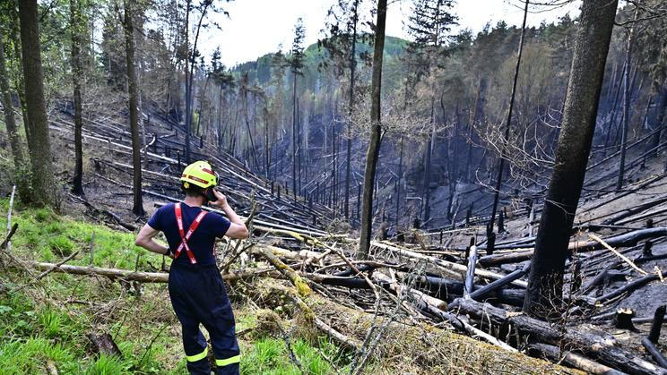 Za požárem nejspíš stojí člověk stejně jako v případě největšího požáru v ČR, který zasáhl oblast v okolí Hřenska před čtyřmi lety.