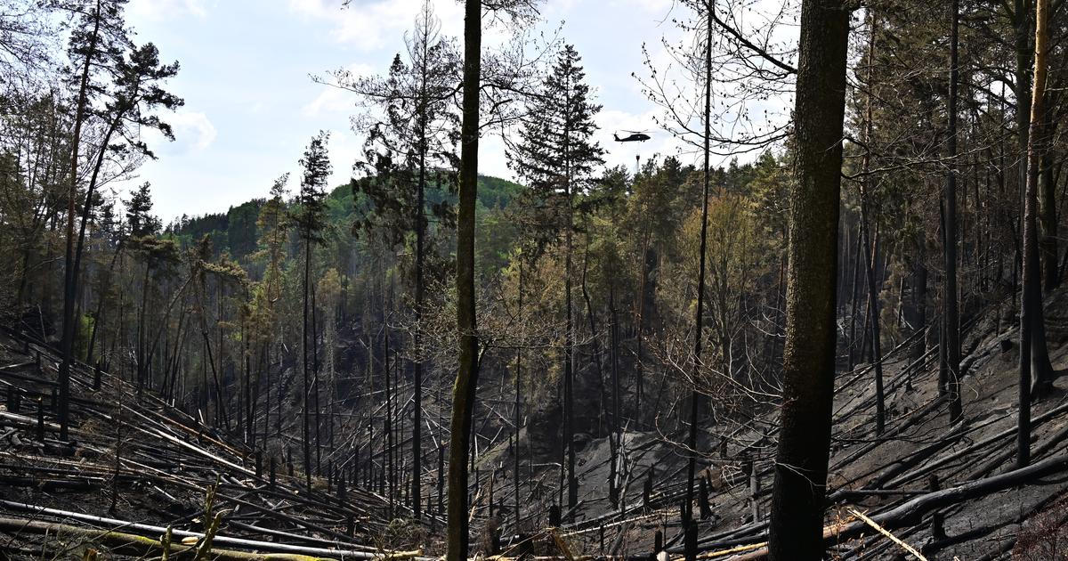 V Českém Švýcarsku pokračuje pátým dnem likvidace požáru, hasí se už jen ze země