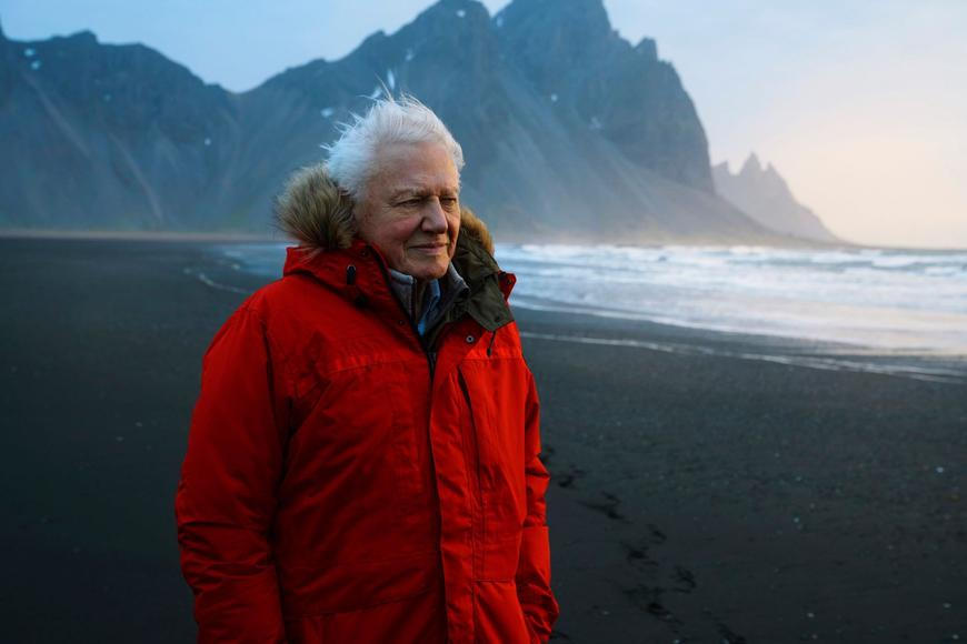 Stoletý svědek proměny naší planety. Sir David Attenborough slaví jubileum s novým filmem