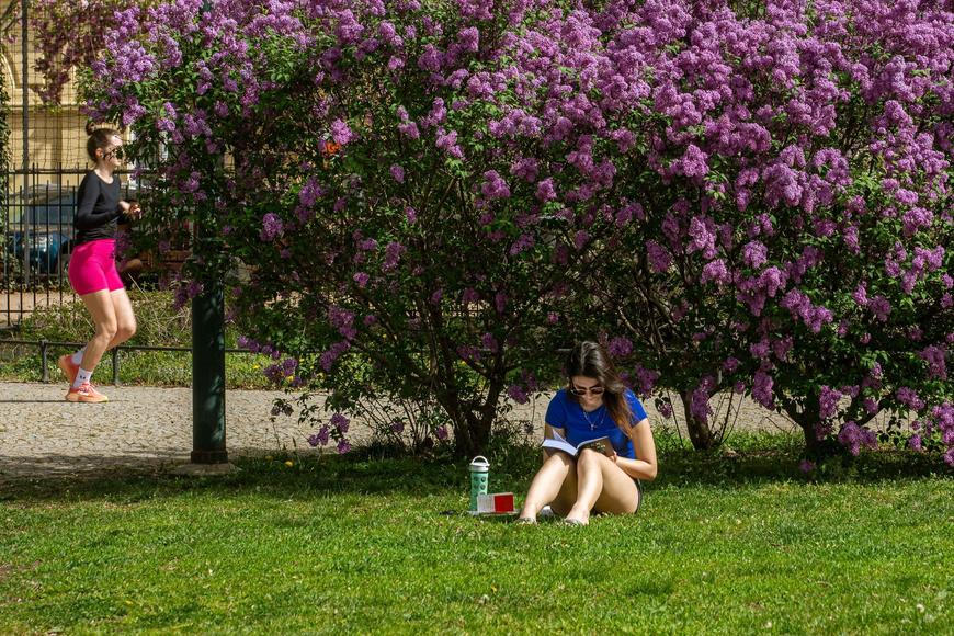 Prodloužený víkend bude slunečný, teploty se vyšplhají i přes 25 stupňů. Co déšť?