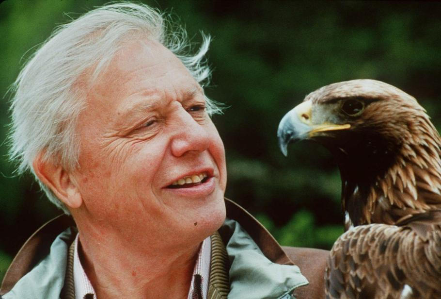 David Attenborough, 2009