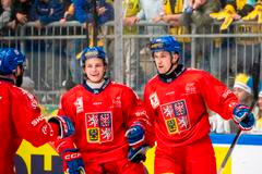 Sweden Beijer Hockey