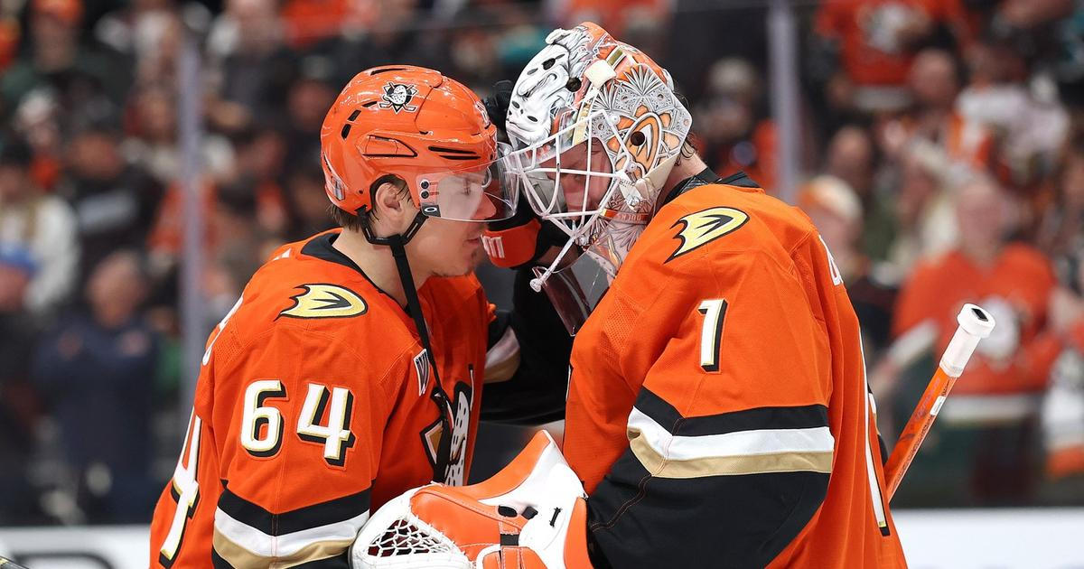 Tolik Čechů, podivovala se legenda. V play off NHL zastiňují giganty