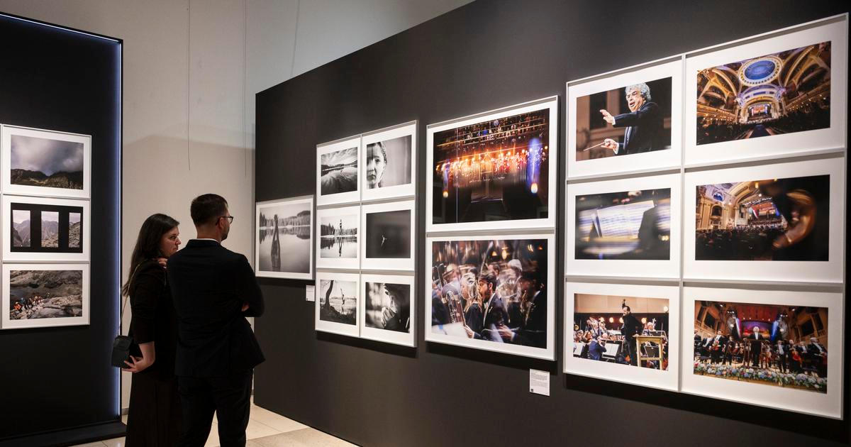 Národní muzeum vystavuje výběr 800 snímků z Czech Press Photo 2025
