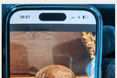 Lebka svaté Zdislavy