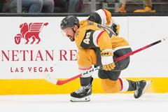 Ducks Golden Knights Hockey