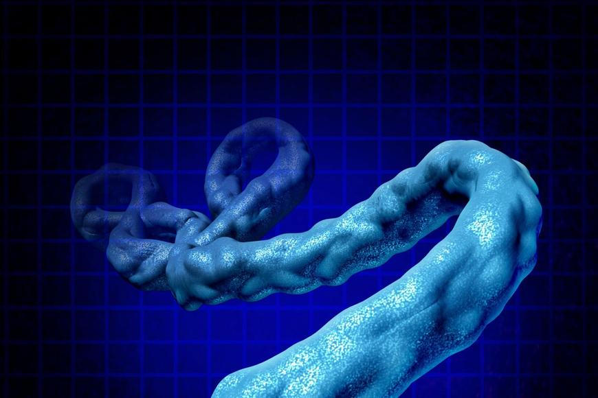 Na severovýchodě Konga propukla epidemie eboly, hlášeno je 65 úmrtí