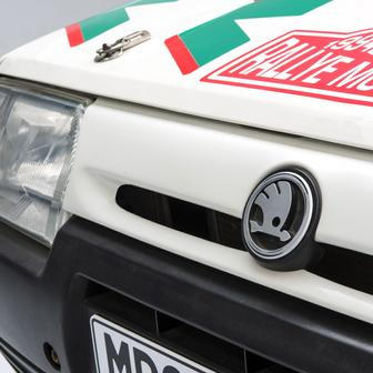 Největší triumfy přišly ve třídě do 1300 cm³, kde Škoda Favorit pravidelně vítězila například na Rallye Monte Carlo nebo RAC Rally. Automobilka navíc dokázala využít motorsport jako důležitou reklamu při vstupu na západní trhy po pádu železné opony. Favorit se tak stal symbolem nové éry značky Škoda a položil základy budoucích úspěchů moderních soutěžních speciálů z Mladé Boleslavi.