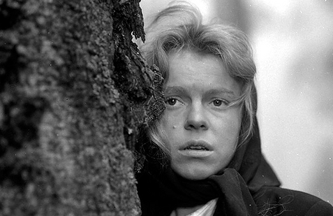 Kočár do Vídně (1966)