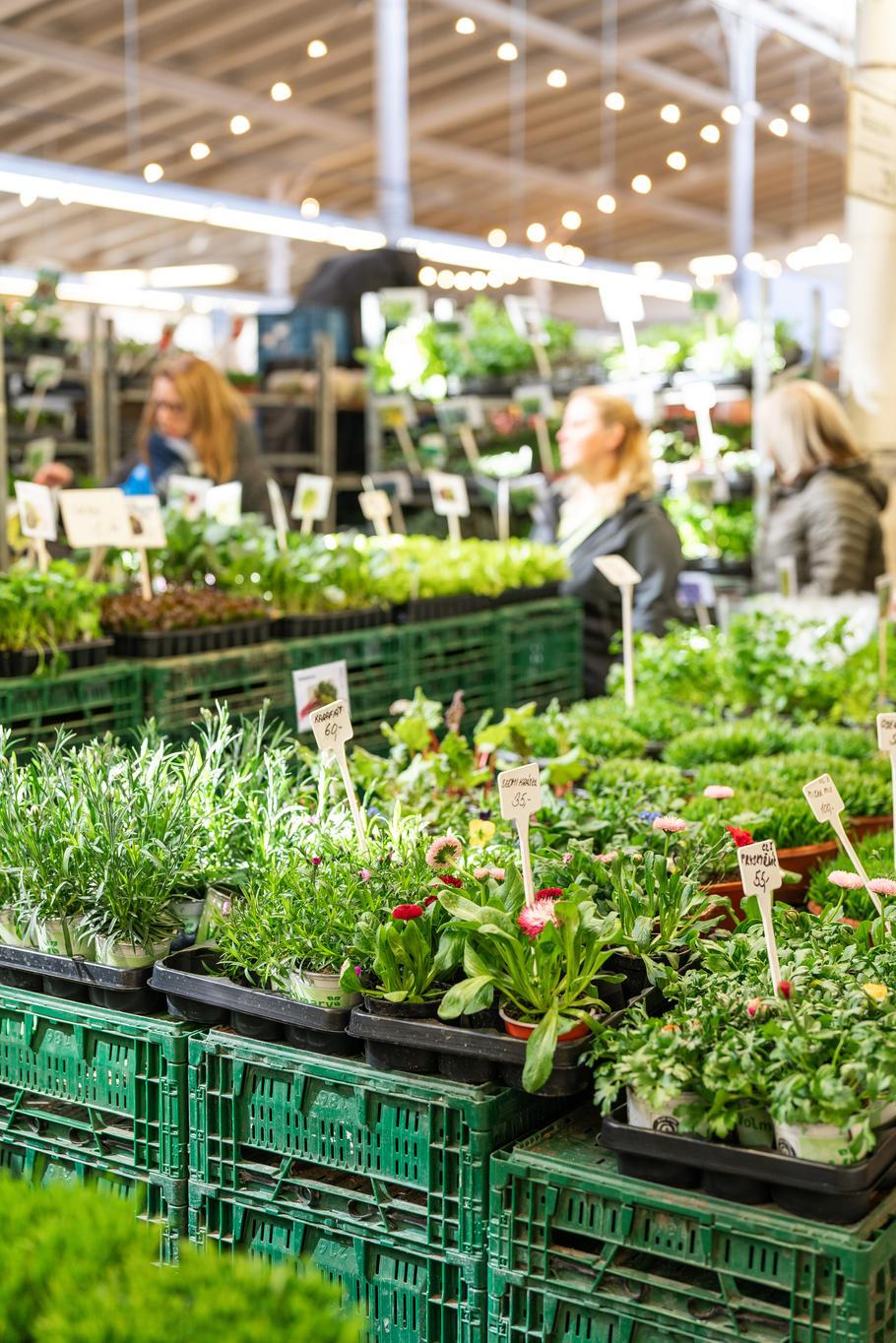 A kdo zde nakupuje? Například Ambiente, Země projekt, La Degustation Bohême Bourgeoise a další špičky české gastronomie. O kvalitě trhu svědčí i zájem ze zahraničí, kdy Halu 22 již navštívil třeba štáb španělské televize zaměřené na světová tržiště.