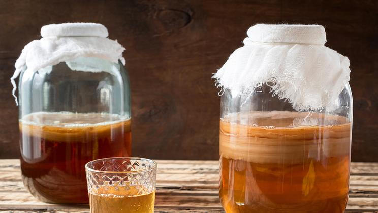 Fermentovaný čaj, který svět zná dva tisíce let. Kombucha budí emoce, ale její pití prospívá zdraví, potvrzuje věda.